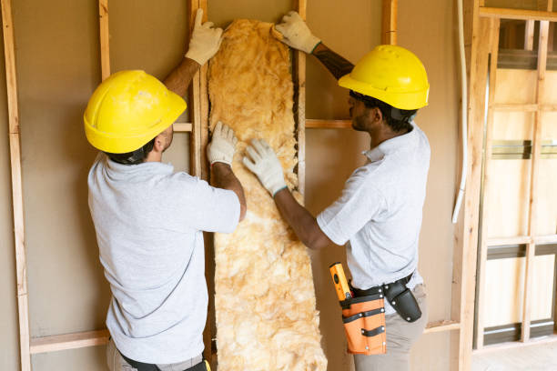 Garage Insulation Installation in North Lakes, AK